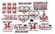 Birthday 21 SVG Bundle